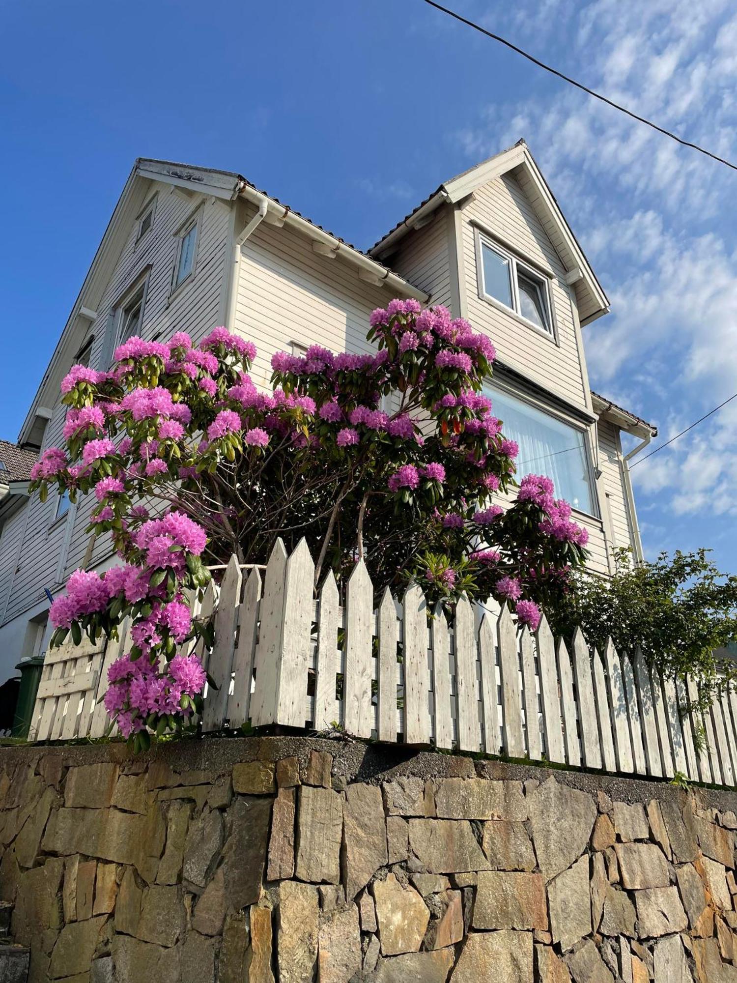 Gate 1 Bnb, 177 House Nr, Maloy Bed and Breakfast Exteriör bild